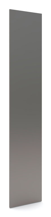 Spiegeltür in seitlicher Perspektive, 202x45 cm, modernes Design