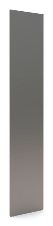 Spiegeltür in seitlicher Perspektive, 202x45 cm, modernes Design