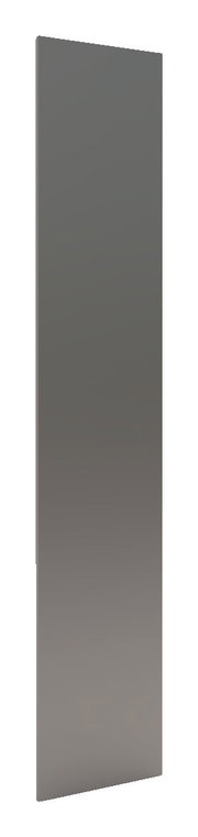 Spiegeldeur in zijaanzicht, 202 x 45 cm, modern design