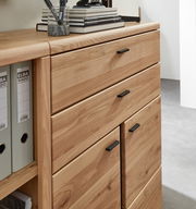 Holz-Kombischrank mit Schubladen und Türen, seitliche Perspektive