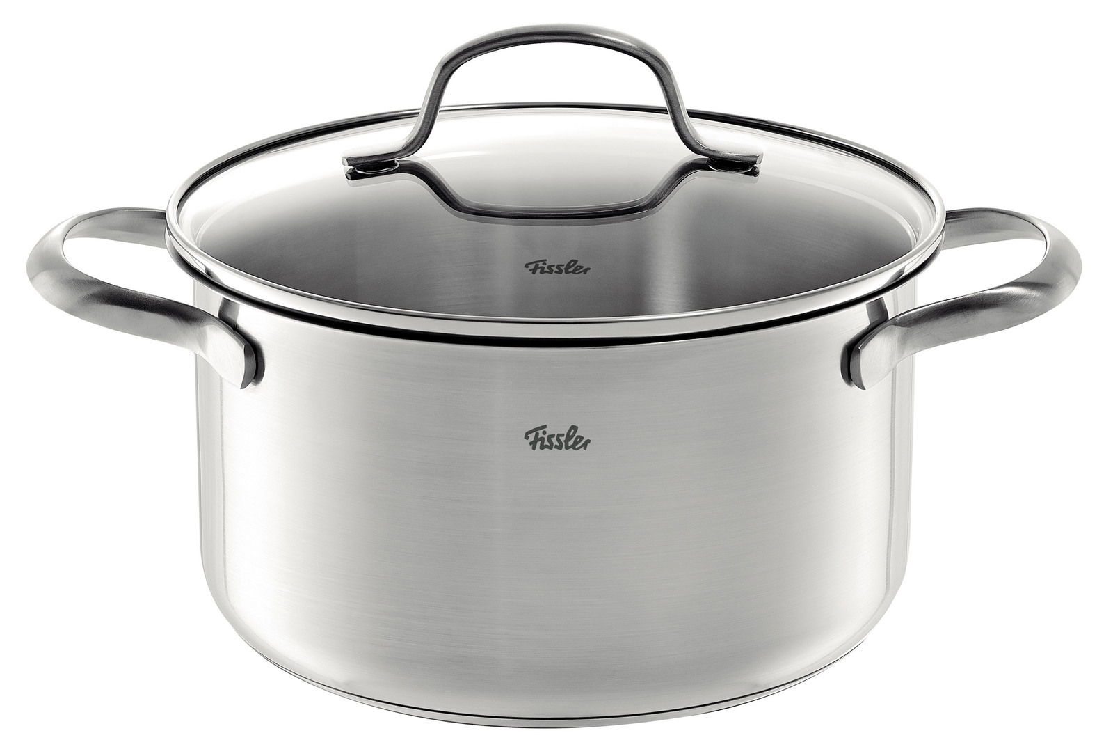 Edelstahl-Kochtopf mit Glasdeckel und zwei Griffen, frontal fotografiert