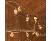 Solarbetriebene Lichterkette mit Glühbirnen an einem Ast, seitliche Perspektive