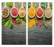 Zwei Herdabdeck- und Schneideplatten mit bunten Gewürzen und Kräutern auf Holzlöffeln, aus der Vogelperspektive fotografiert.