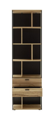 Frontale Ansicht eines modernen Regals mit mehreren Fächern und zwei Schubladen, aus Holz und Metall gefertigt.