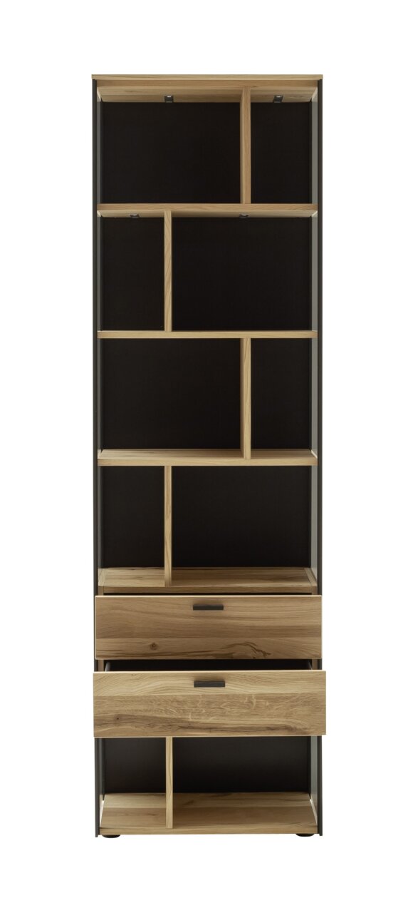 Frontale Ansicht eines modernen Regals mit mehreren Fächern und zwei Schubladen, aus Holz und Metall gefertigt.