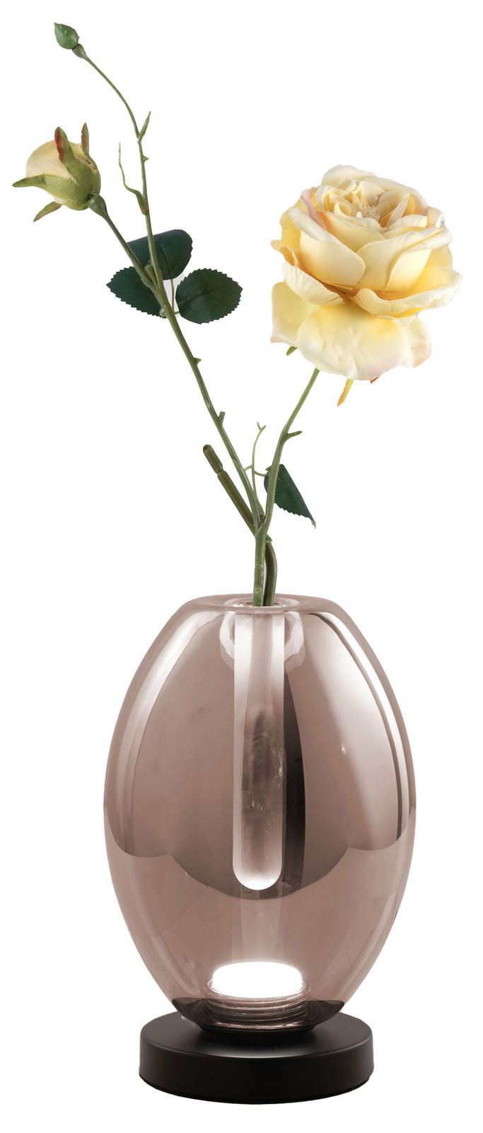 LED-Glasvasenleuchte TULLY von Fabas Luce mit einer gelben Rose, seitliche Perspektive