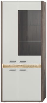 Moderne Vitrine mit Holz- und Glaselementen, Frontalansicht