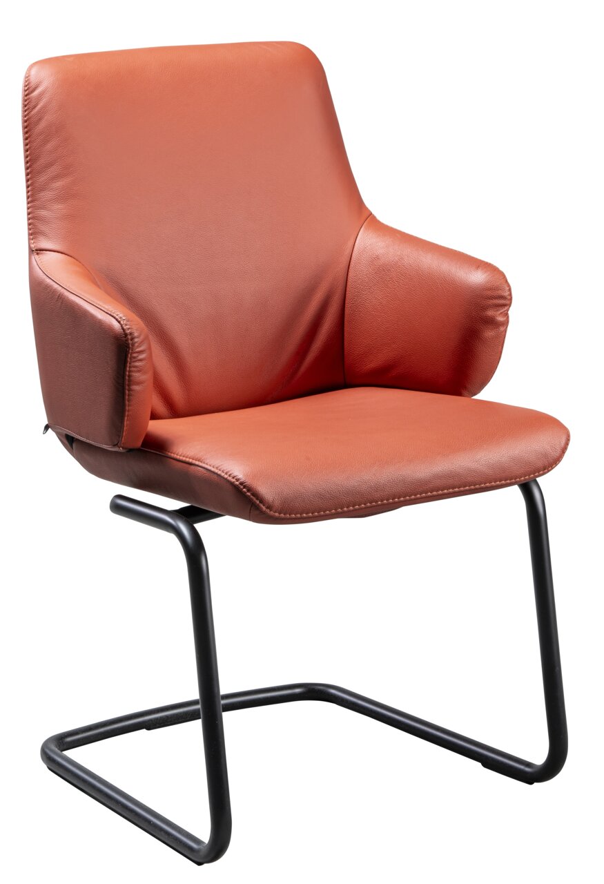Moderne fauteuil met bruine lederen bekleding en een zwart metalen frame, zijaanzicht
