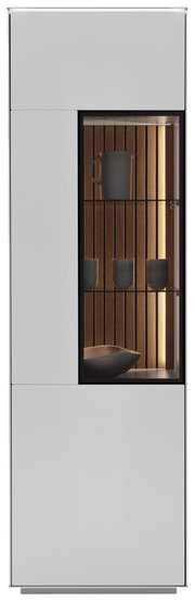 Moderne Vitrine mit Glasfront, seitlicher Perspektive, beleuchtetem Innenraum und dekorativen Objekten.