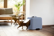Een kattenbak in een modern ontwerp, gezien vanaf de zijkant, met een kat die er net uitkomt, in een gezellige woonkamer.