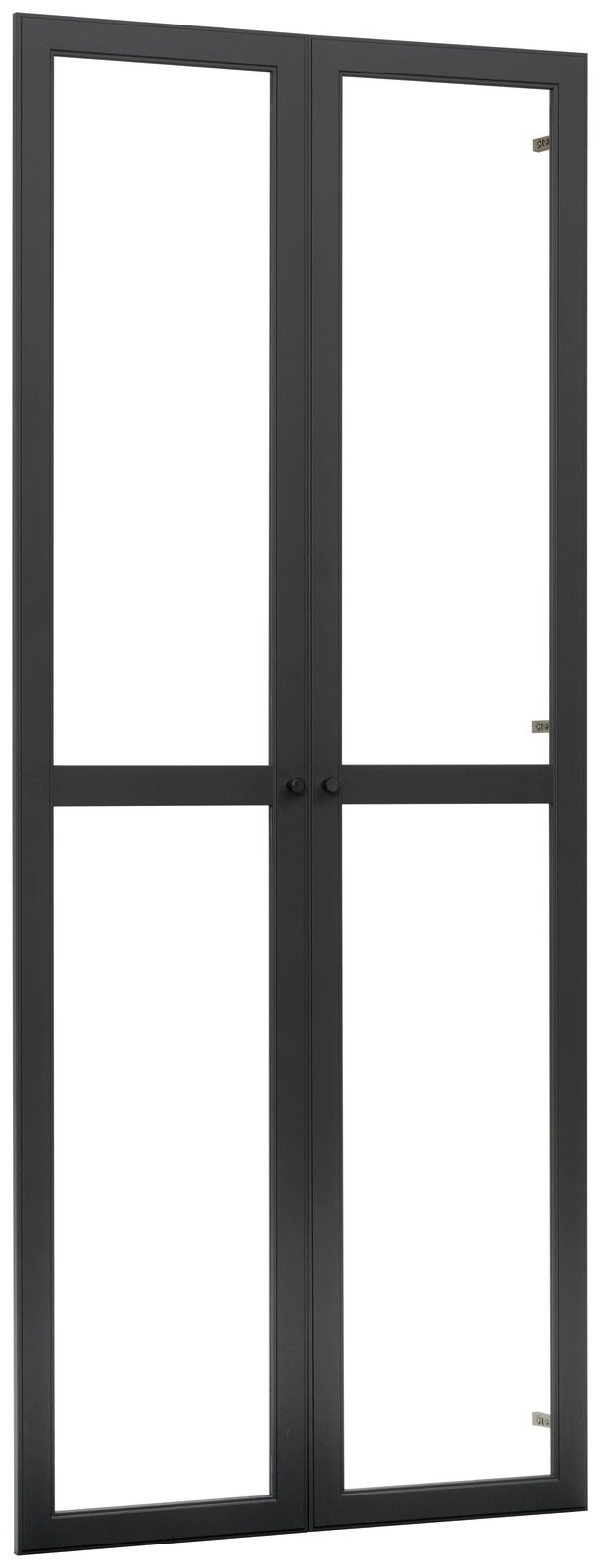 Schwarzes Doppeltür-Set aus Metall mit Glasfüllung, Frontalansicht