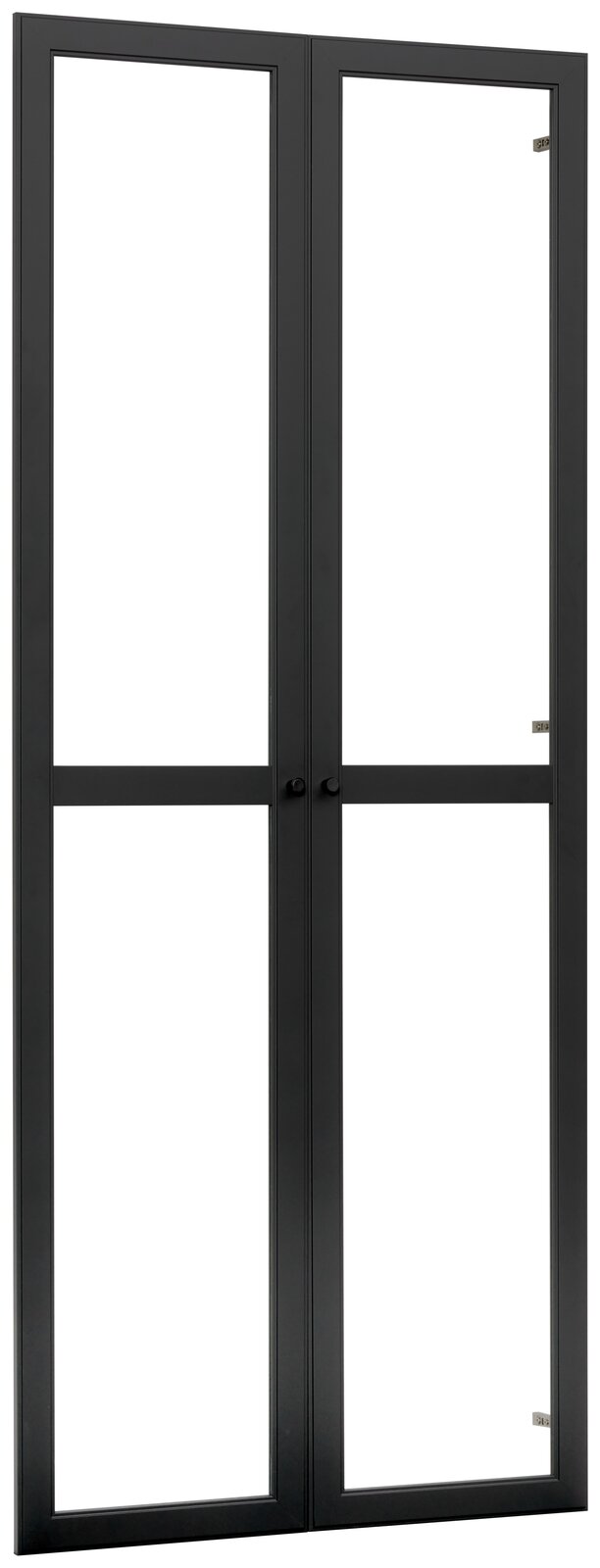 Carryhome Tür-Set MILLY Schwarzes Doppeltür-Set aus Metall mit Glasfüllung, Frontalansicht