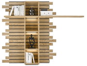 Modernes Wandregal aus hellem Holz mit horizontalen Lamellen, integrierten Fächern und LED-Beleuchtung, dekoriert mit Büchern, Vase und Figur – Frontansicht.