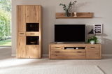 Wandkombination aus Holz mit Schrank, TV-Board und Regal, frontal fotografiert. Dekoriert mit Pflanzen und Dekorationsobjekten.