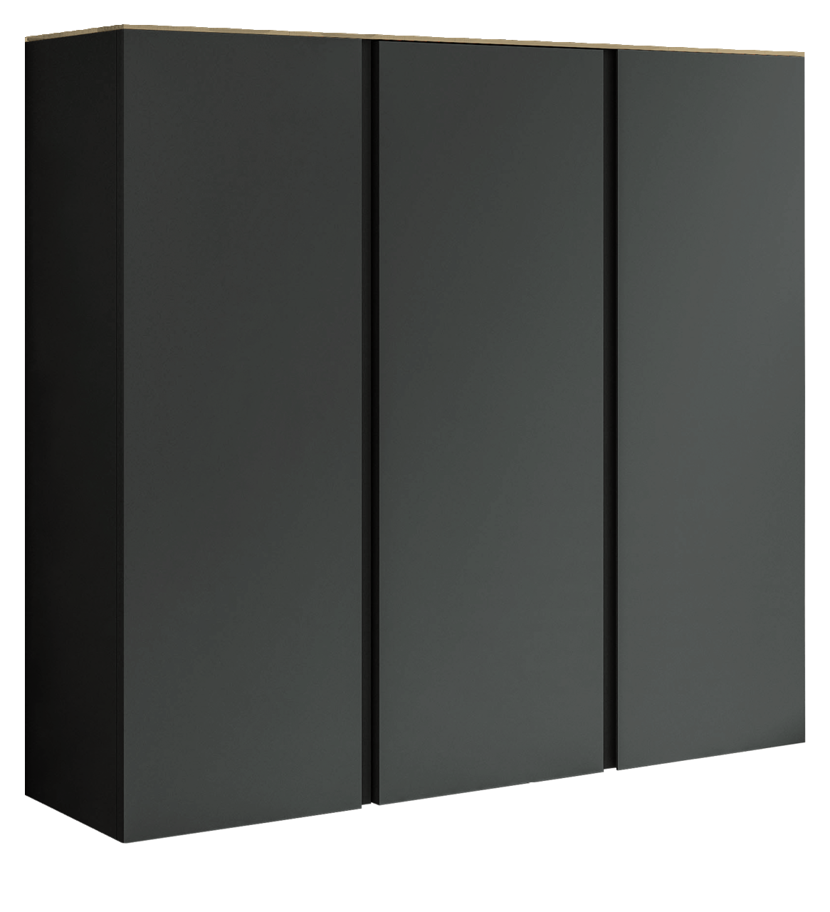 Moderano XL-Hängeschuhschrank LECCO Schwarzer XL-Hängeschuhschrank mit drei Türen, seitliche Perspektive