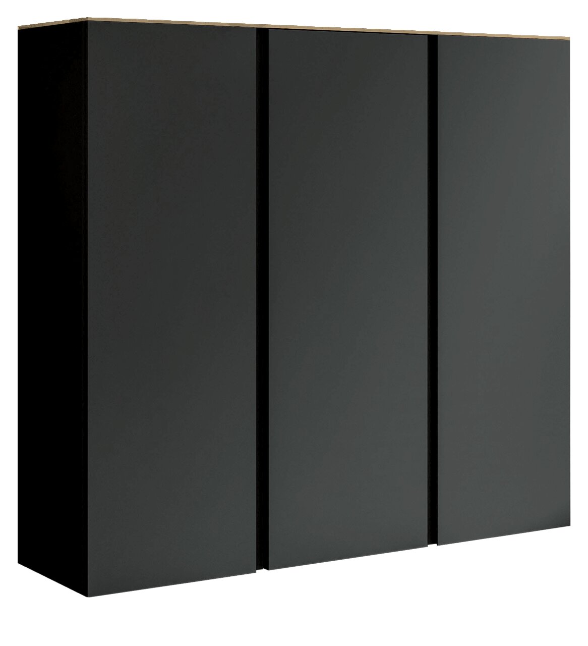 Schwarzer XL-Hängeschuhschrank mit drei Türen, seitliche Perspektive