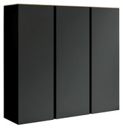 Schwarzer XL-Hängeschuhschrank mit drei Türen, seitliche Perspektive