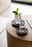 Villeroy & Boch Mokka-/Espressountertasse MANUFACTURE ROCK