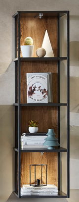 Modernes Wandregal mit schwarzem Metallrahmen und Holzböden, dekoriert mit Büchern, Pflanzen und einer Lampe, seitliche Perspektive.