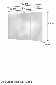 Spiegelschrank mit drei Türen, Gesamtbreite 100 cm, Höhe 64 cm, Tiefe 20 cm, mit Beleuchtung, Frontansicht