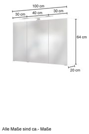 Spiegelschrank mit drei Türen, Gesamtbreite 100 cm, Höhe 64 cm, Tiefe 20 cm, mit Beleuchtung, Frontansicht