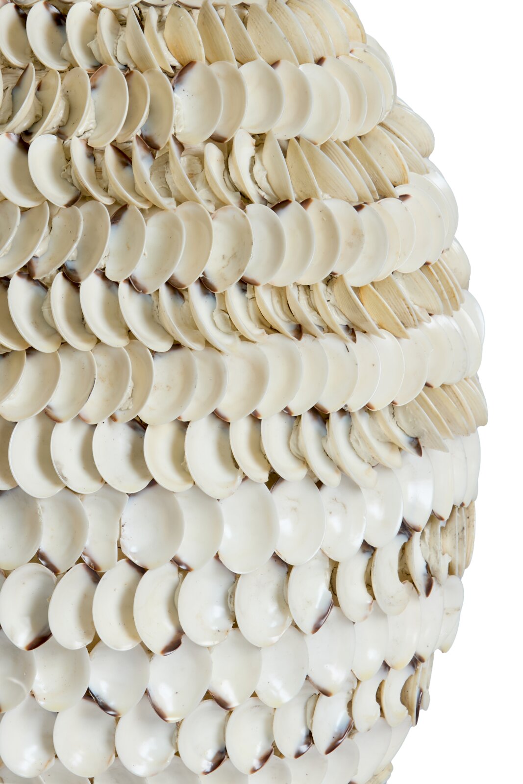 Nahaufnahme einer Vase mit schuppenartiger Struktur aus weißen Muscheln, seitliche Perspektive