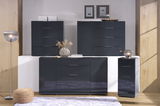 Moderne Hochkommode in dunklem Hochglanz-Finish, frontal fotografiert, umgeben von stilvoller Dekoration.