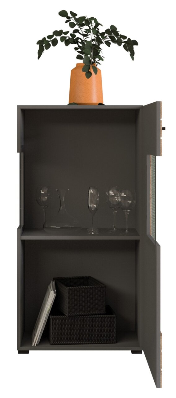 Standschrank mit geöffneter Tür, gefüllt mit Gläsern und dekorativen Boxen, mit einer Pflanze in einem orangefarbenen Topf auf der Oberseite, Frontalansicht.