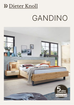 Dieter Knoll Gandino - Katalog