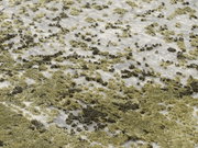 Nahaufnahme eines Designer-Teppichs mit grünem und weißem Muster, aus schräger Perspektive fotografiert.