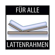 Illustration einer Wendematratze, geeignet für alle Lattenrahmen, seitliche Perspektive