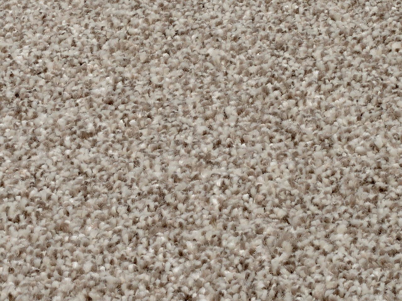 Nahaufnahme eines Uni-Teppichs in beige mit weicher, flauschiger Textur.