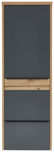 Frontansicht eines modernen Hängegarderobenschranks mit dunkler Front und Holzdetails.