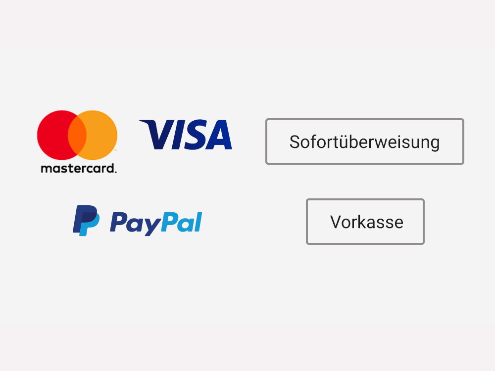 Logos für Mastercard, Visa, PayPal und Zahlungsarten: Sofortüberweisung und Vorkasse.