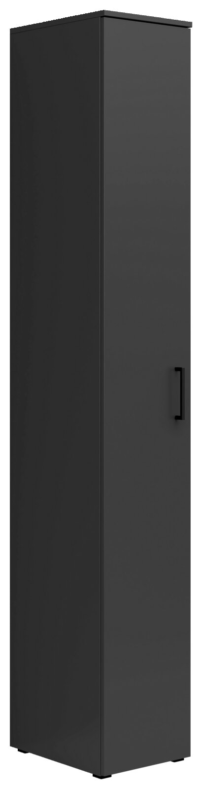 Carryhome Multifunctionele kast MULTISTAURAUM Schwarzer Mehrzweckschrank mit einer Tür, seitliche Perspektive