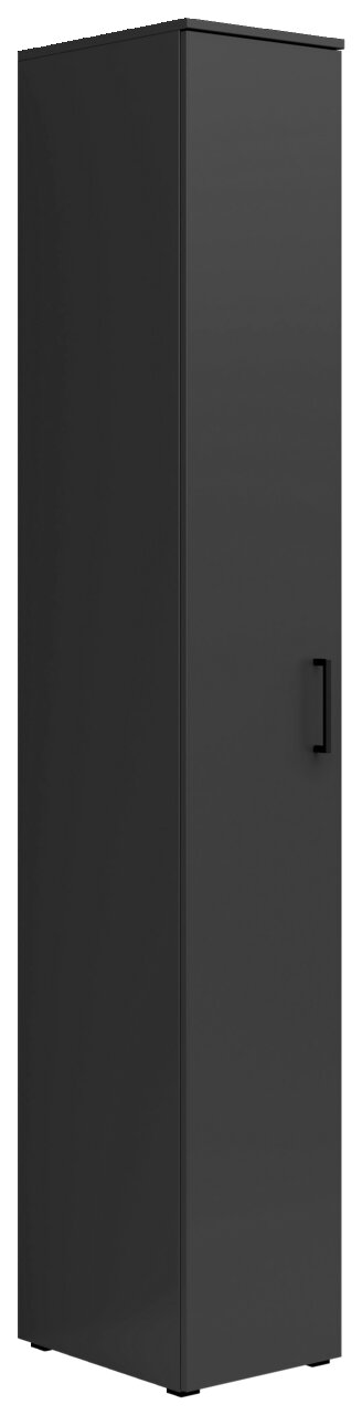 Carryhome Mehrzweckschrank MULTISTAURAUM Schwarzer Mehrzweckschrank mit einer Tür, seitliche Perspektive
