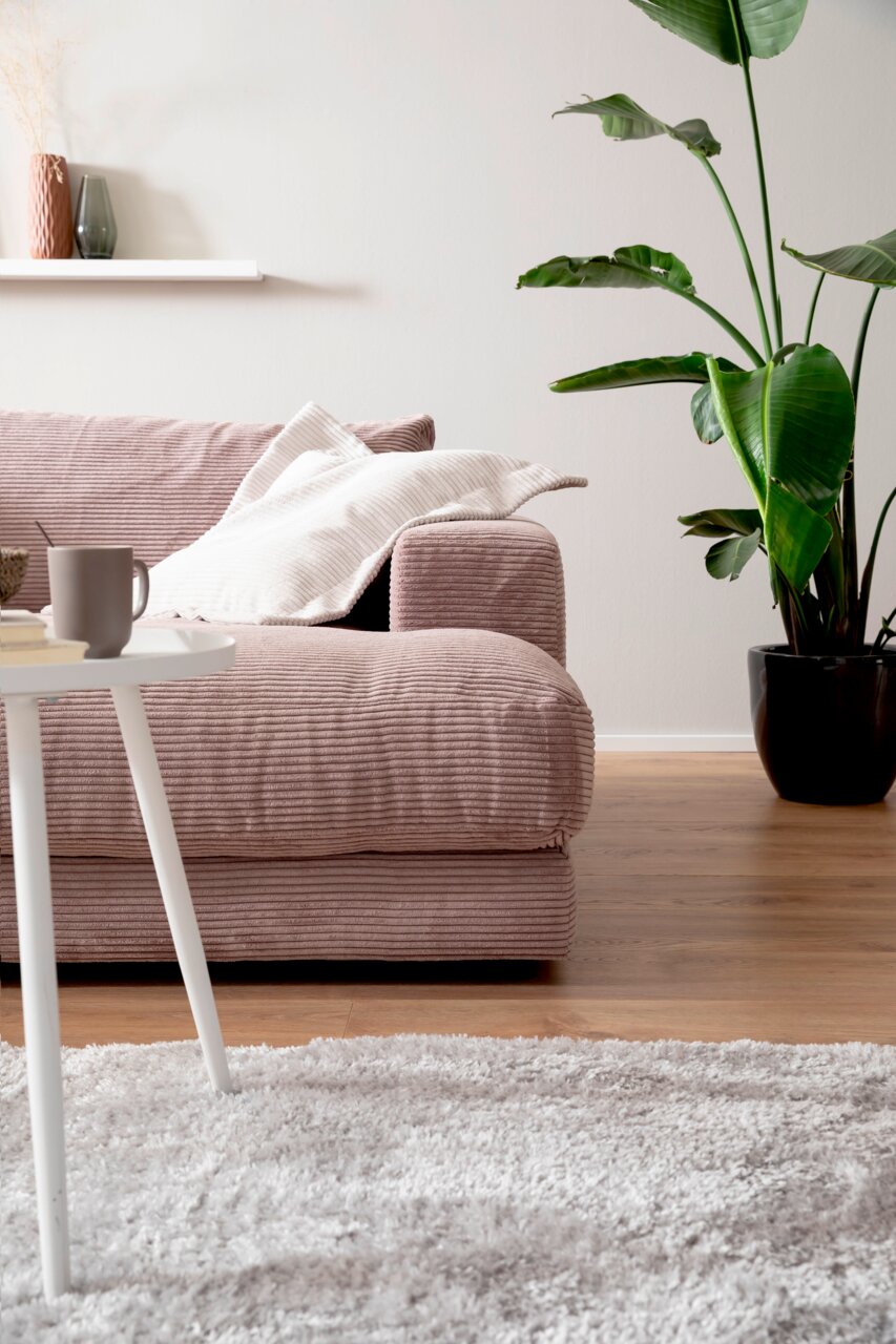 Gemütliches Megasofa in einem modernen Wohnzimmer, seitliche Perspektive, mit Kissen und einer Pflanze im Hintergrund.