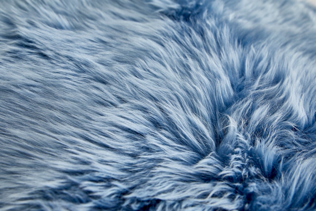 Nahaufnahme eines blauen Schaffells mit weicher, flauschiger Textur.
