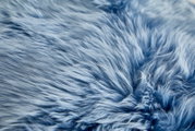 Close-up van een blauwe schapenvacht met een zachte, donzige textuur.