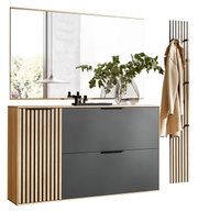 Garderobeset in een moderne stijl met houten en metalen elementen, bestaande uit een grote spiegel, een ladekast en een wandkapstok met haken, versierd met een vaas en planten.