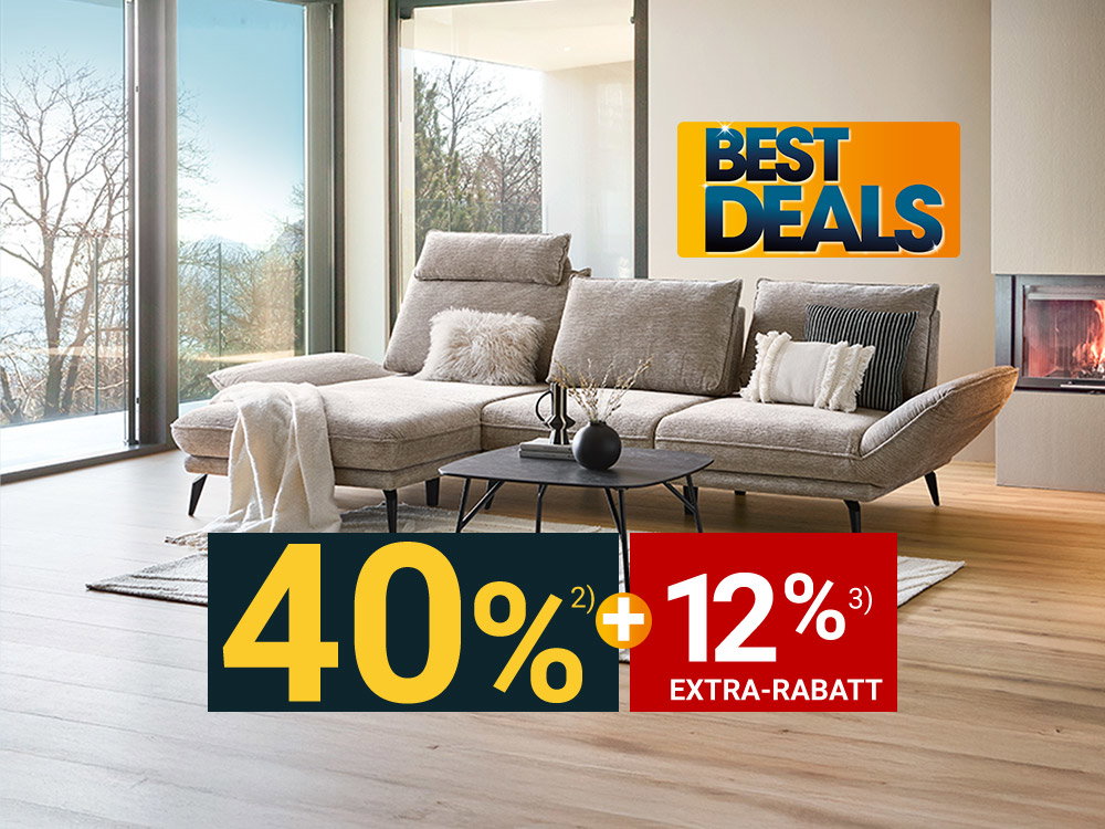 Wohnzimmer mit großem Ecksofa, Couchtisch und Teppich vor bodentiefen Fenstern und Kamin