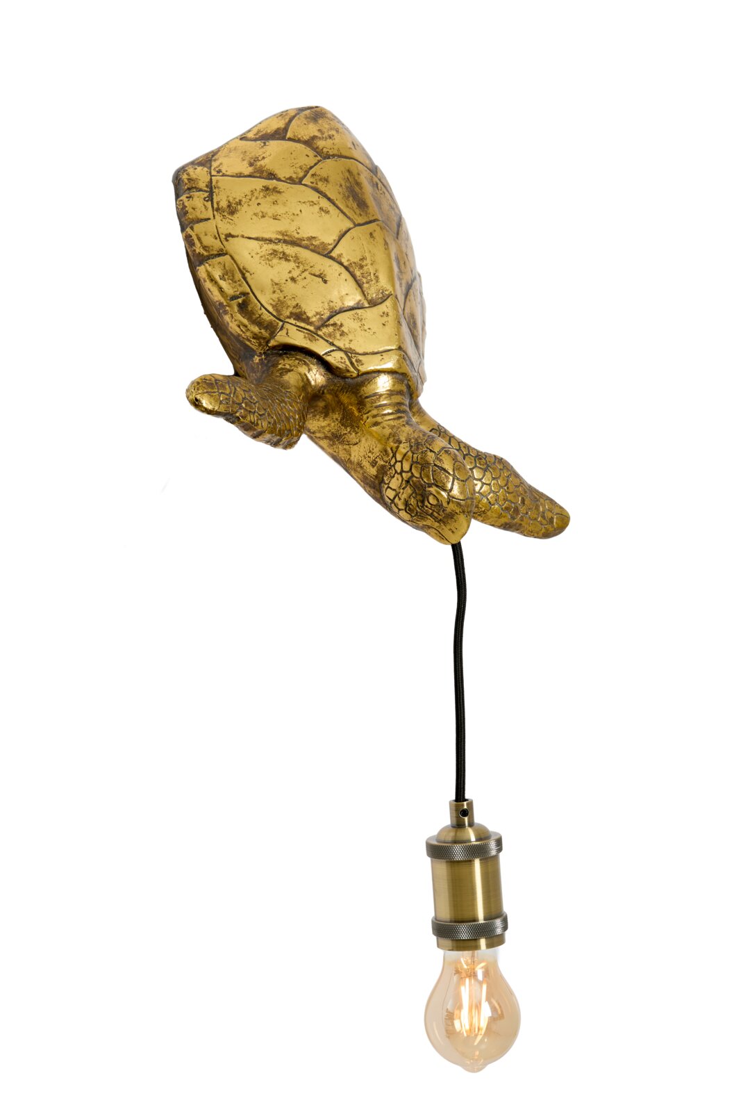 Decoratieve hanglamp met goudkleurige zeeschildpad, zwart snoer, messing fitting en brandende gloeilamp, schuin van voren en onderen gezien tegen een witte achtergrond
