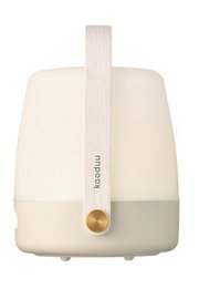 Frontansicht einer tragbaren Lampe mit Holzgriff und modernem Design.