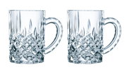 Twee elegante bierpullen van kristalglas met een gedetailleerd slijpwerk, hier van voren afgebeeld.