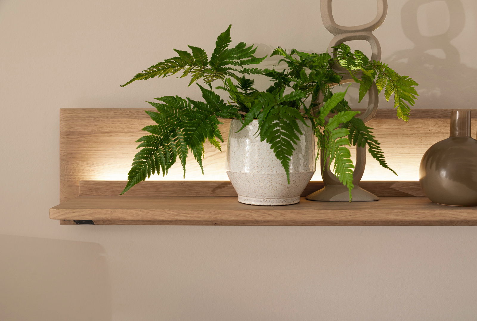 Holz-Wandboard mit dekorativer Pflanze und Beleuchtung, seitliche Perspektive