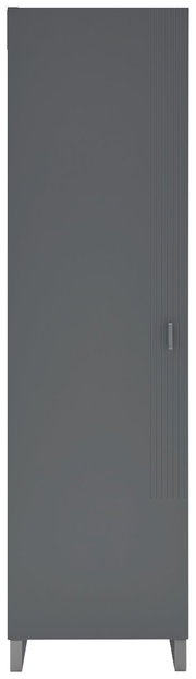 Moderner grauer Garderobenschrank mit vertikalen Linien und Griff, Frontalansicht