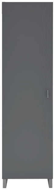 Moderner grauer Garderobenschrank mit vertikalen Linien und Griff, Frontalansicht