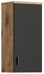 Moderner Hängeschrank mit dunkler Tür und Holzrahmen, Frontalansicht