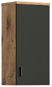 Moderner Hängeschrank mit dunkler Tür und Holzrahmen, Frontalansicht