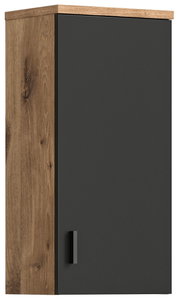 Moderner Hängeschrank mit dunkler Tür und Holzrahmen, Frontalansicht